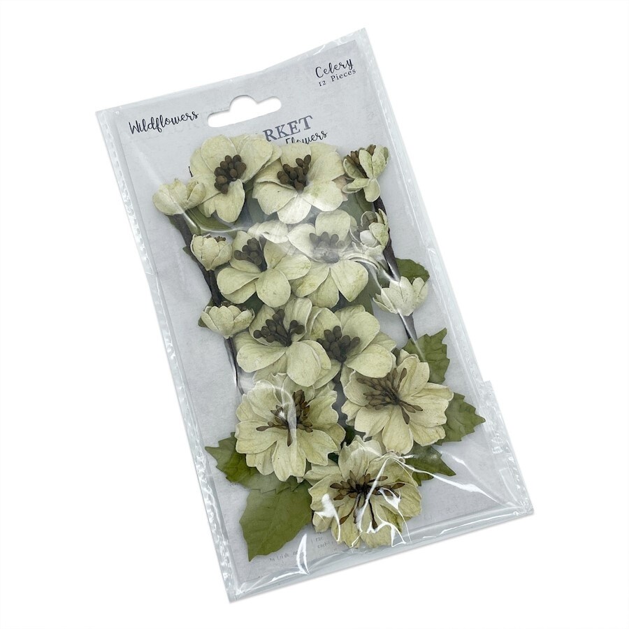 WILDFLOWERS - CELERY