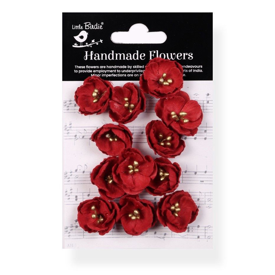 CARDINAL RED DAISY FLOWERS