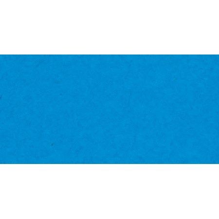 BLUE RASPBERRY 12x12
