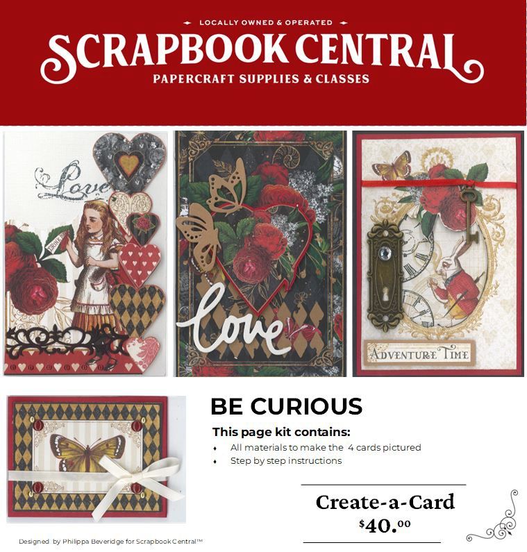 BE CURIOUS CARD KIT