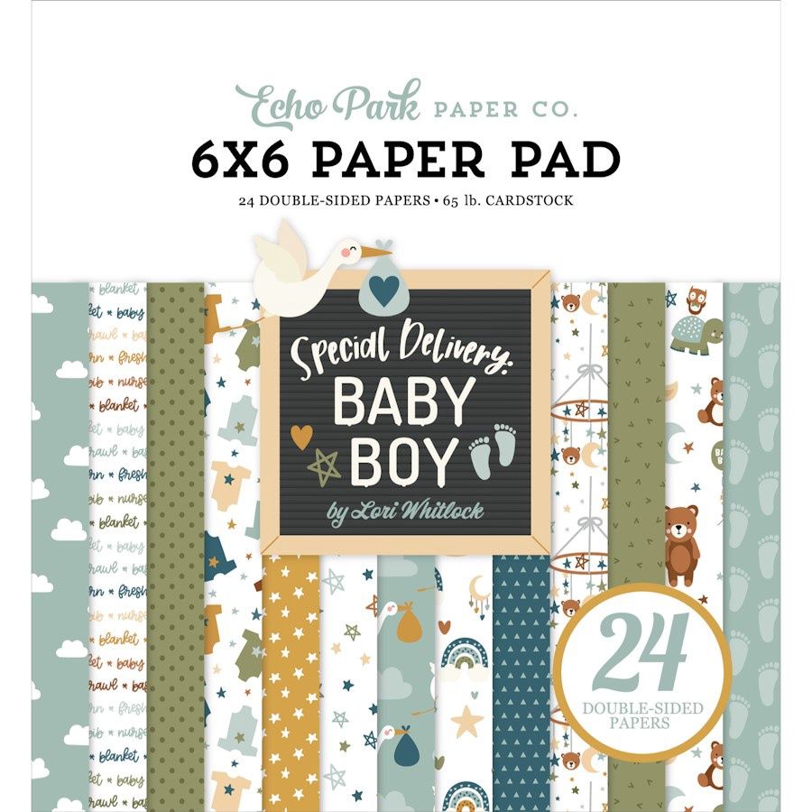 SPECIAL DELIVERY BABY BOY 6x6 PAPER PAD