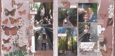 BUSH WALK PAGE KIT