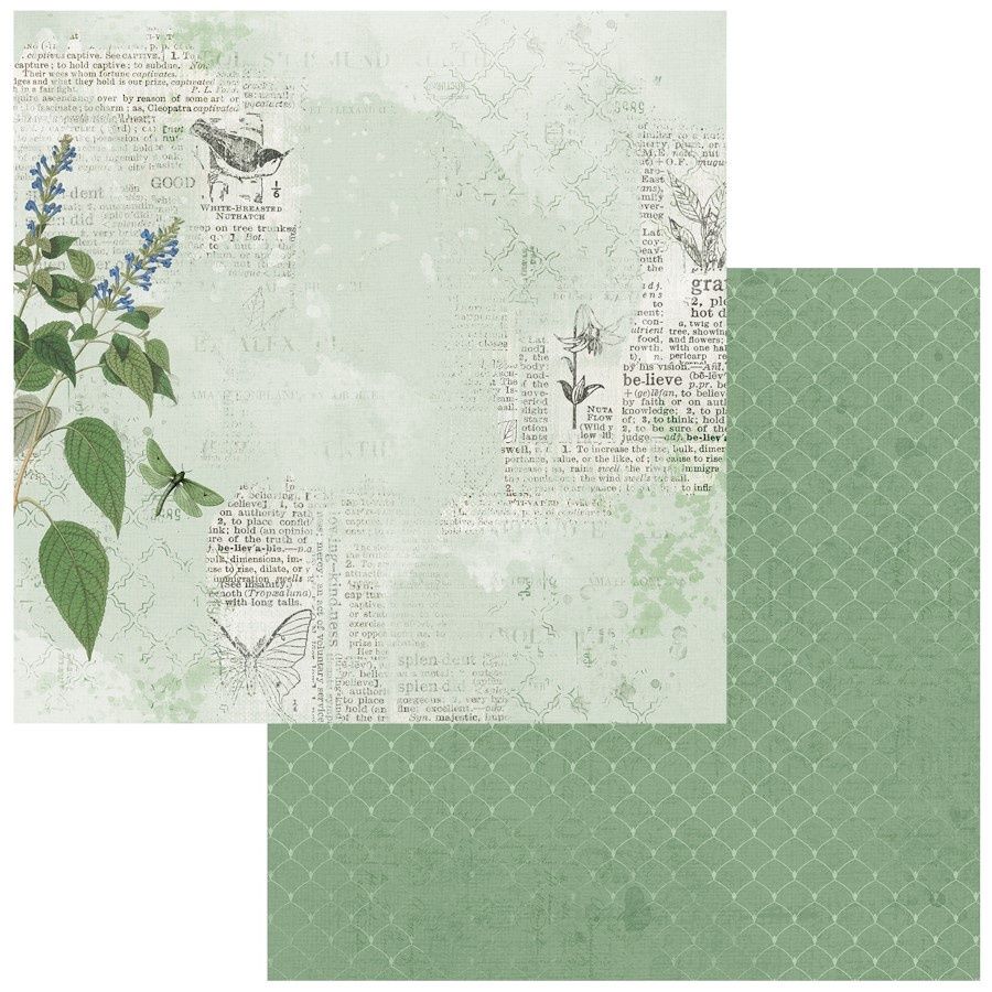 WILLOW #1