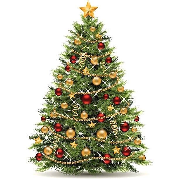 DECEMBER 5th -  CHRISTMAS CROP