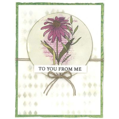 NATURE RUB-ONS CARD KIT