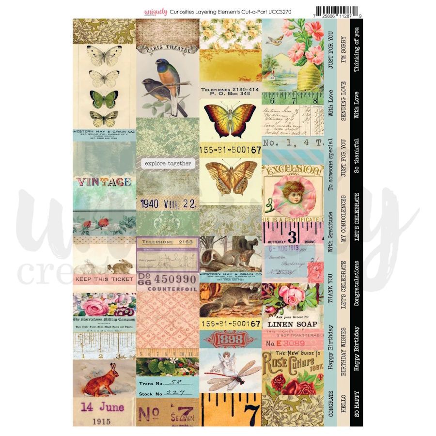 CURIOSITIES LAYERING ELEMENTS CUT-A-PART