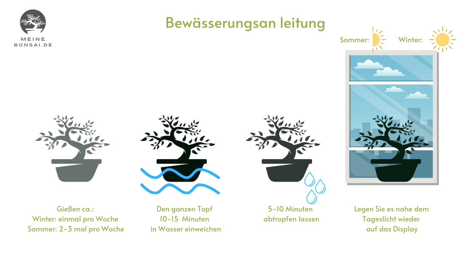 beaucarnea recurvata elefantenfuss Baby Elefantenfuß Beaucarnea recurvata Flaschenbaum Wasserpalme  Zimmerpflanze main image 1