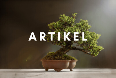 Artikel