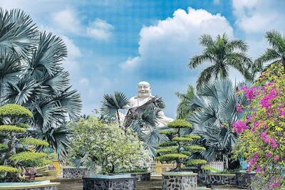 Bonsai Arten: Ein vollständiger Leitfaden