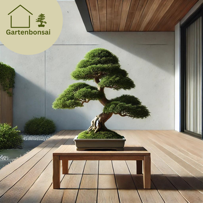 Gartenbonsai