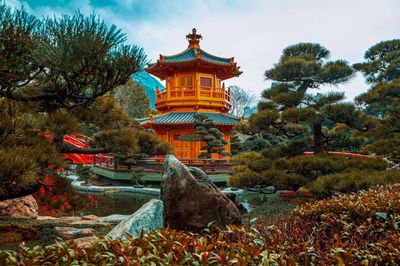 Die Kunst des Bonsai – spirituelle Bedeutung
