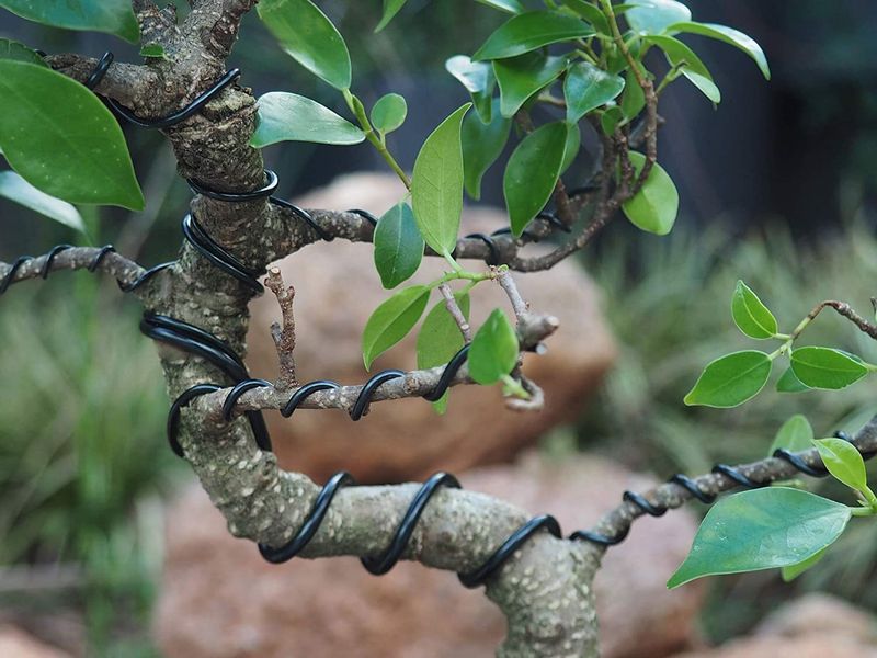 Bonsai-Formdraht 2 mm (50 g)