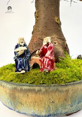 Dekorative Bonsai-Statuen