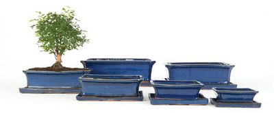 Bonsai-Töpfe und Untertassen