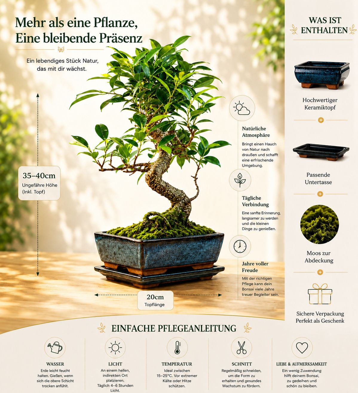 bonsai pot plastic 4.5” round black plastic flared succulent & bonsai pot – QuarterAcreOrchids main image 0