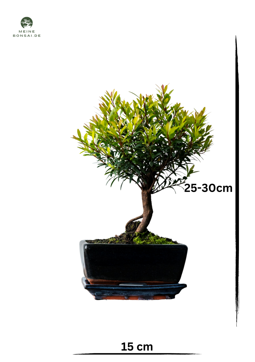 wandbehang bambus 9-teiliges Bambus Ringe Set