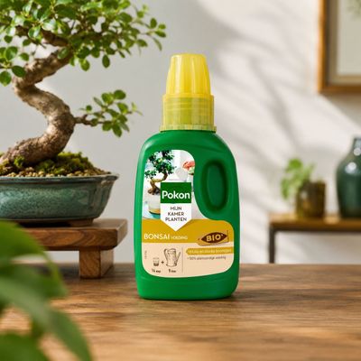 Pokon Bio Bonsai Dünger 250 ml