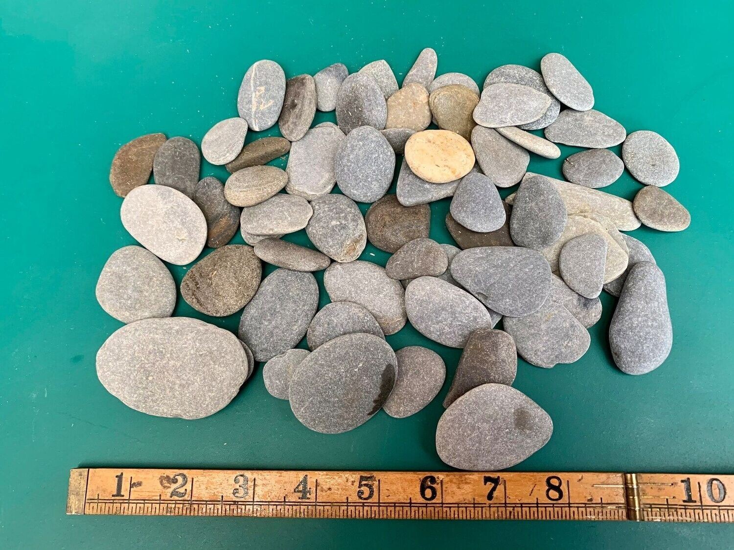 Flat Pebble Art Supplies for Bodies, Heads etc.