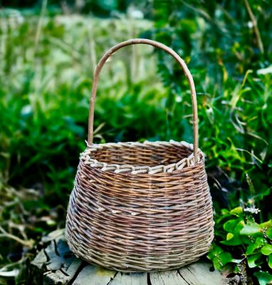 Willow Foraging/Berry Basket Weaving Workshop