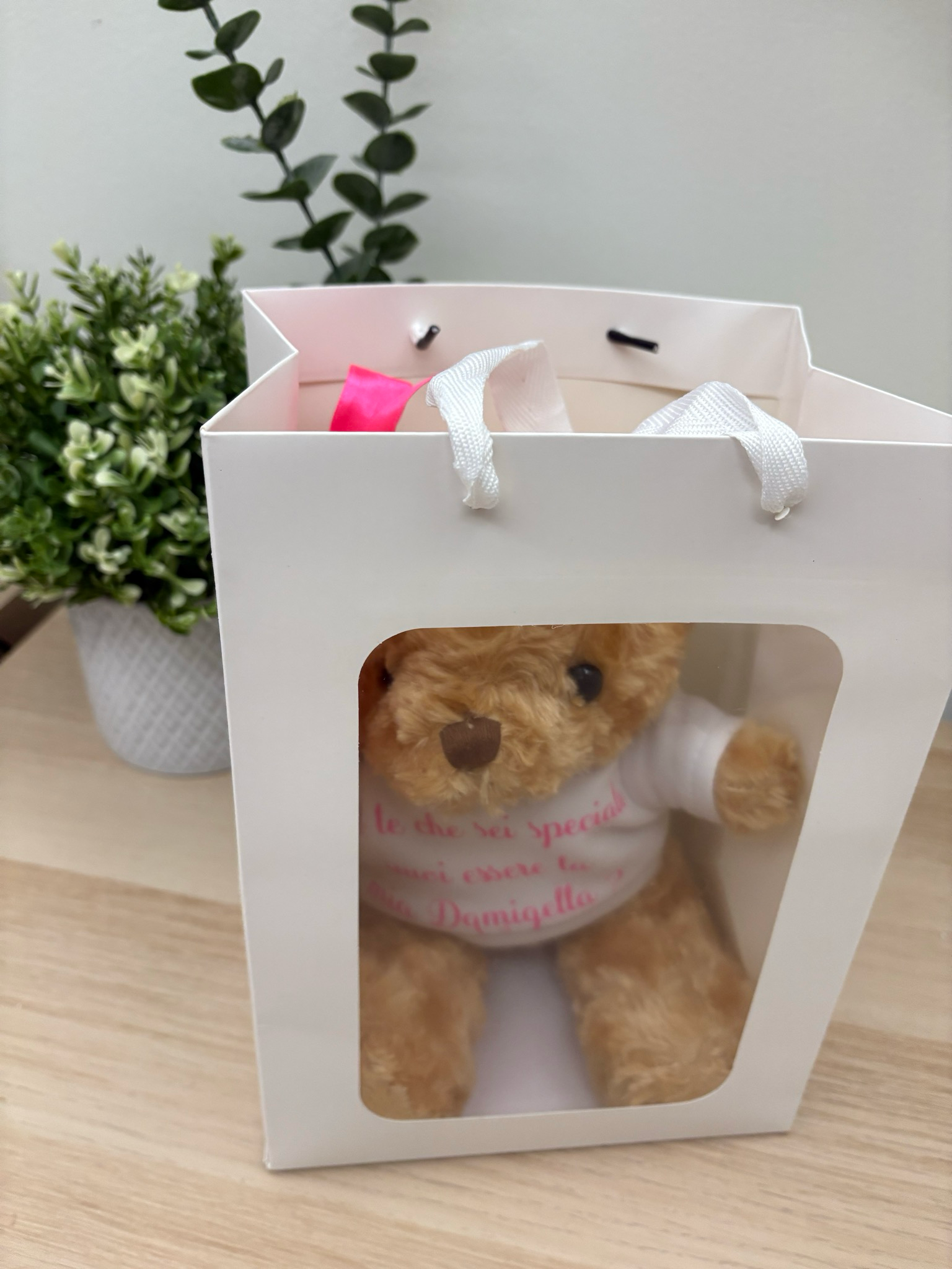 Peluches personalizzato