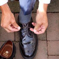 Alden 975 - Color 8 Shell Cordovan Longwing Blucher