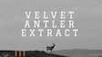 Deer Velvet Antler Extract (20 Grams)