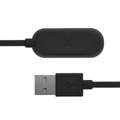 PAX Mini Charger