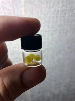 Yellow Dot Beads