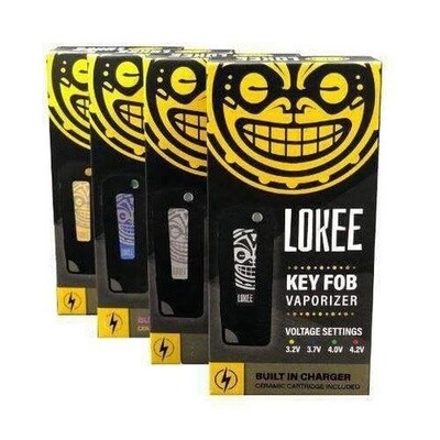 Lokee Flip 510 Battery