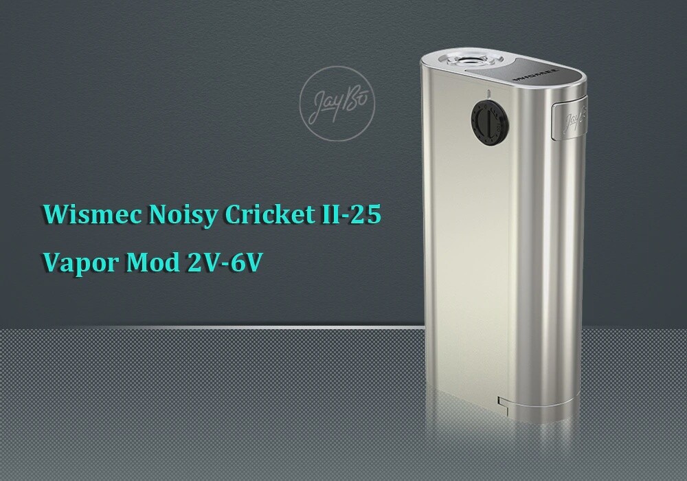 Noisy Cricket 2