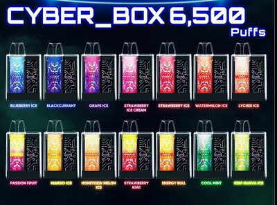 Cyber Box Disposable -(6,500 Puffs)