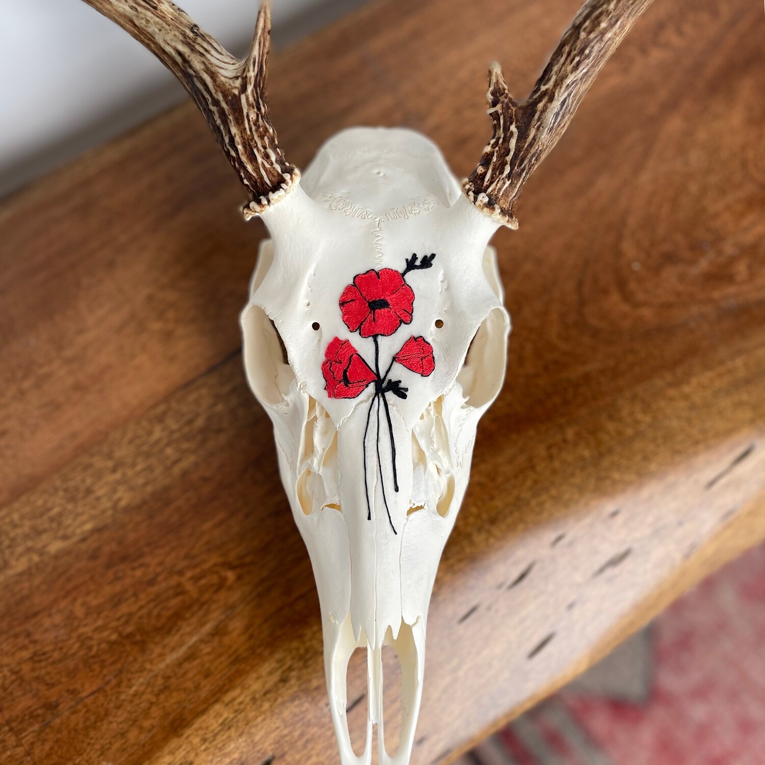 &quot;Dear Poppies&quot;