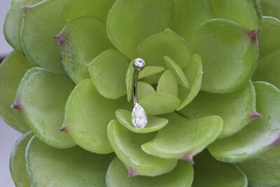 Threaded Pear Prong Navel Curve