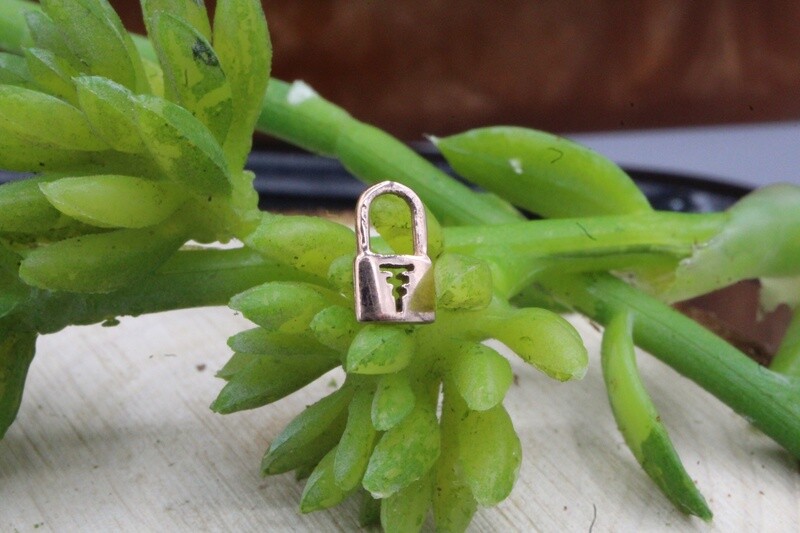 Rose Gold Tawapa Sigil Charm