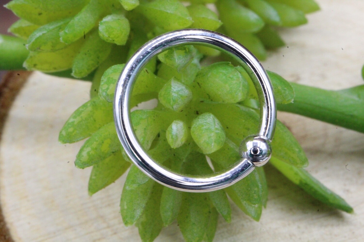 White Gold Fixed Bead Rings