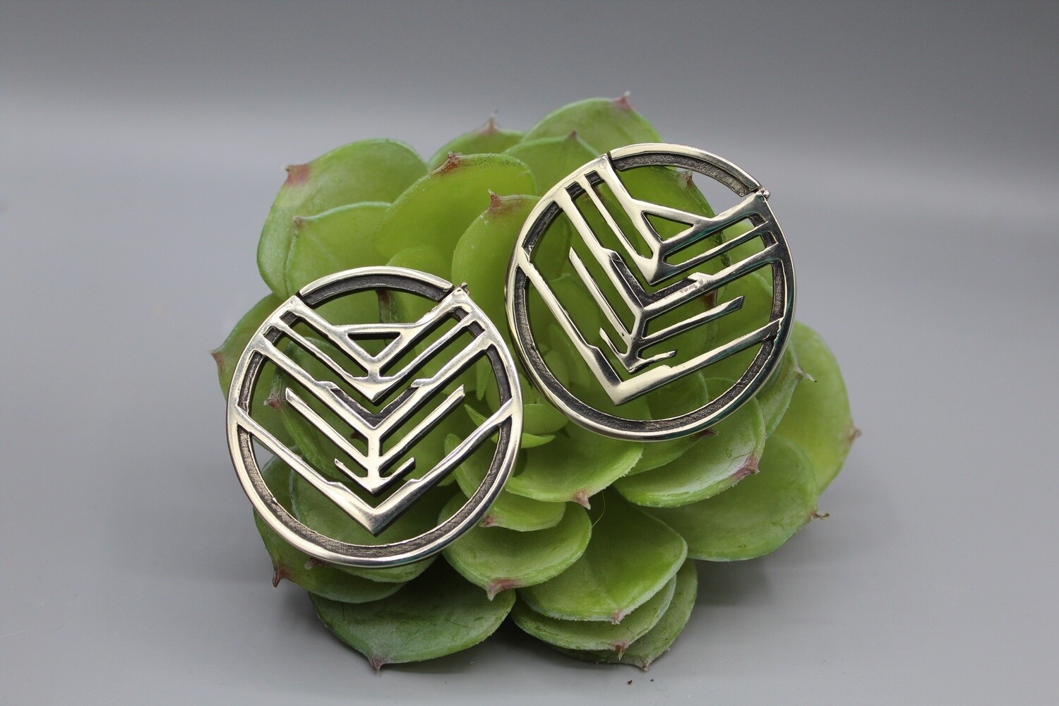 Volt Weights, Gauge: 6g, Material: White Brass