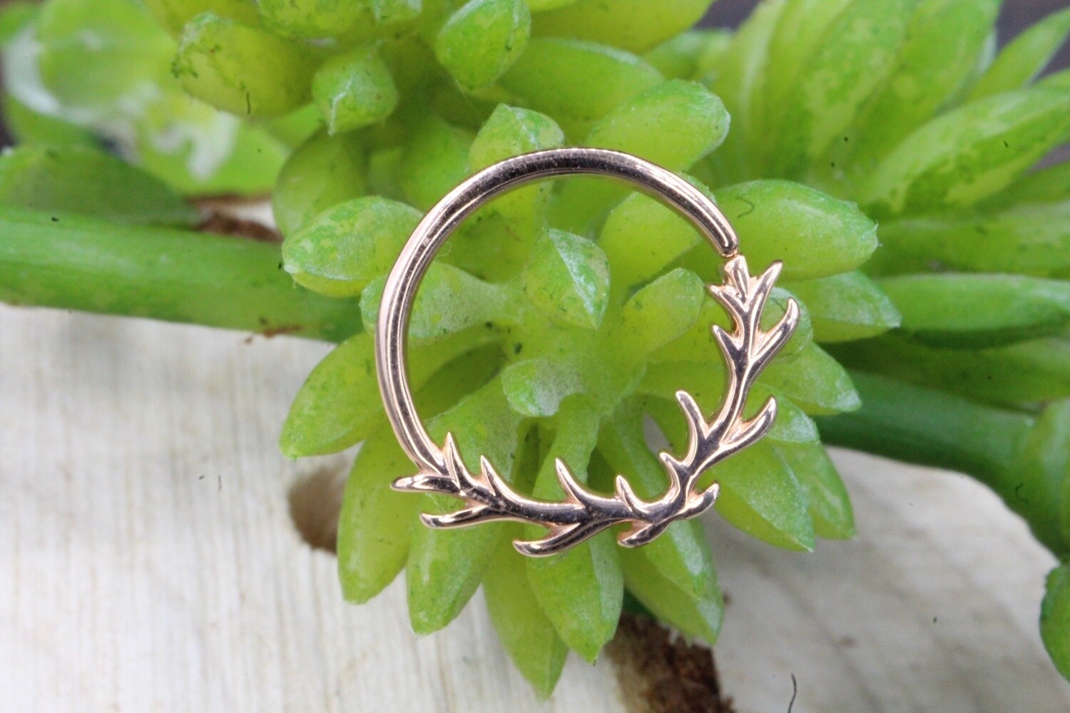 Rose Gold Raven Seam