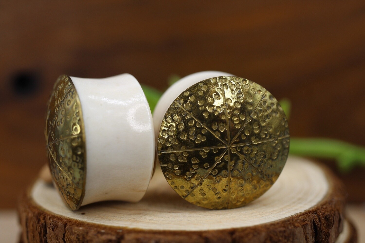 Discount 15/16" Plugs and Eyelets