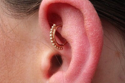 Rook