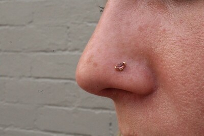 Nostrils