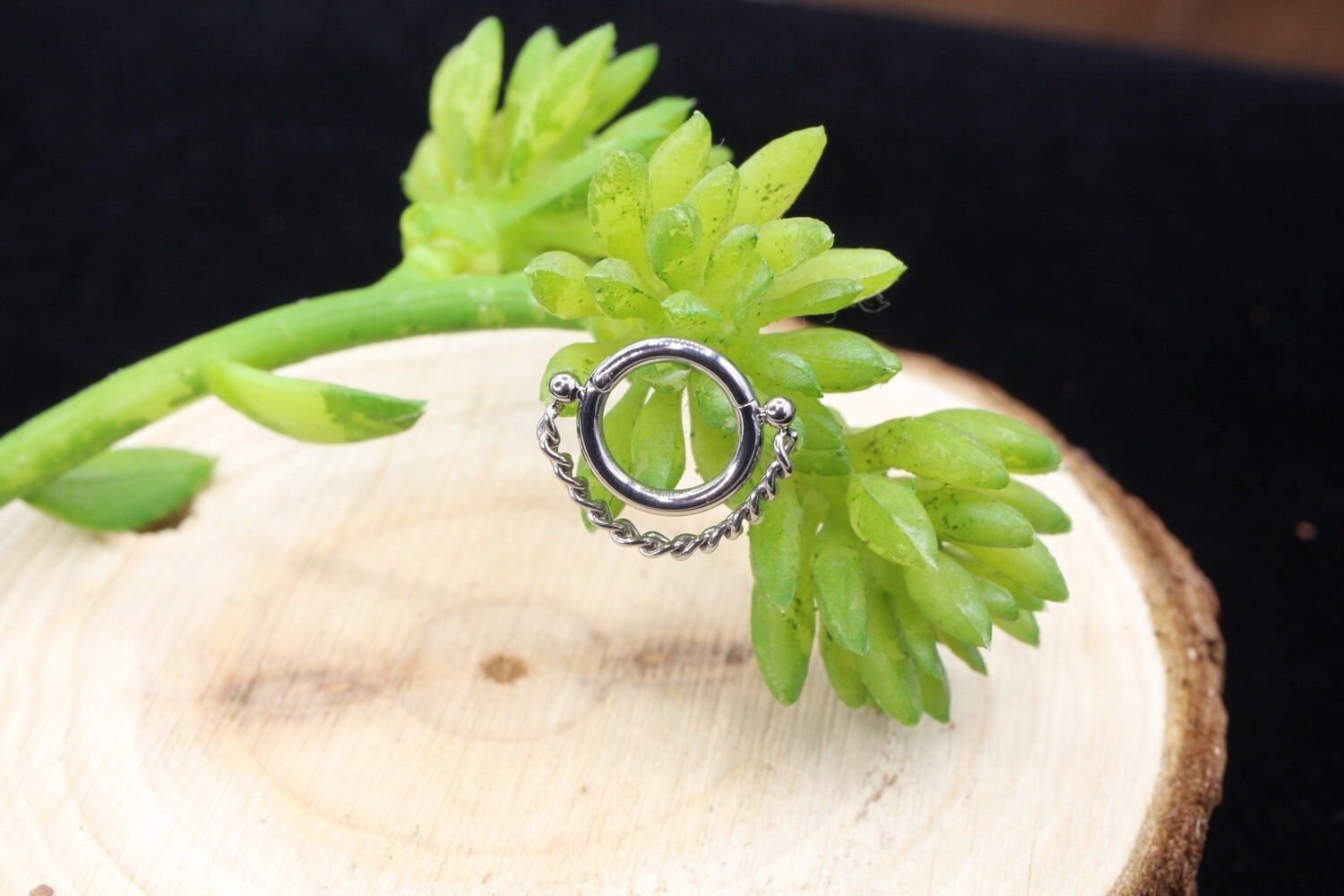 Titanium Single Chain Hinge Ring, Gauge: 16g, Diameter: 1/4&quot;