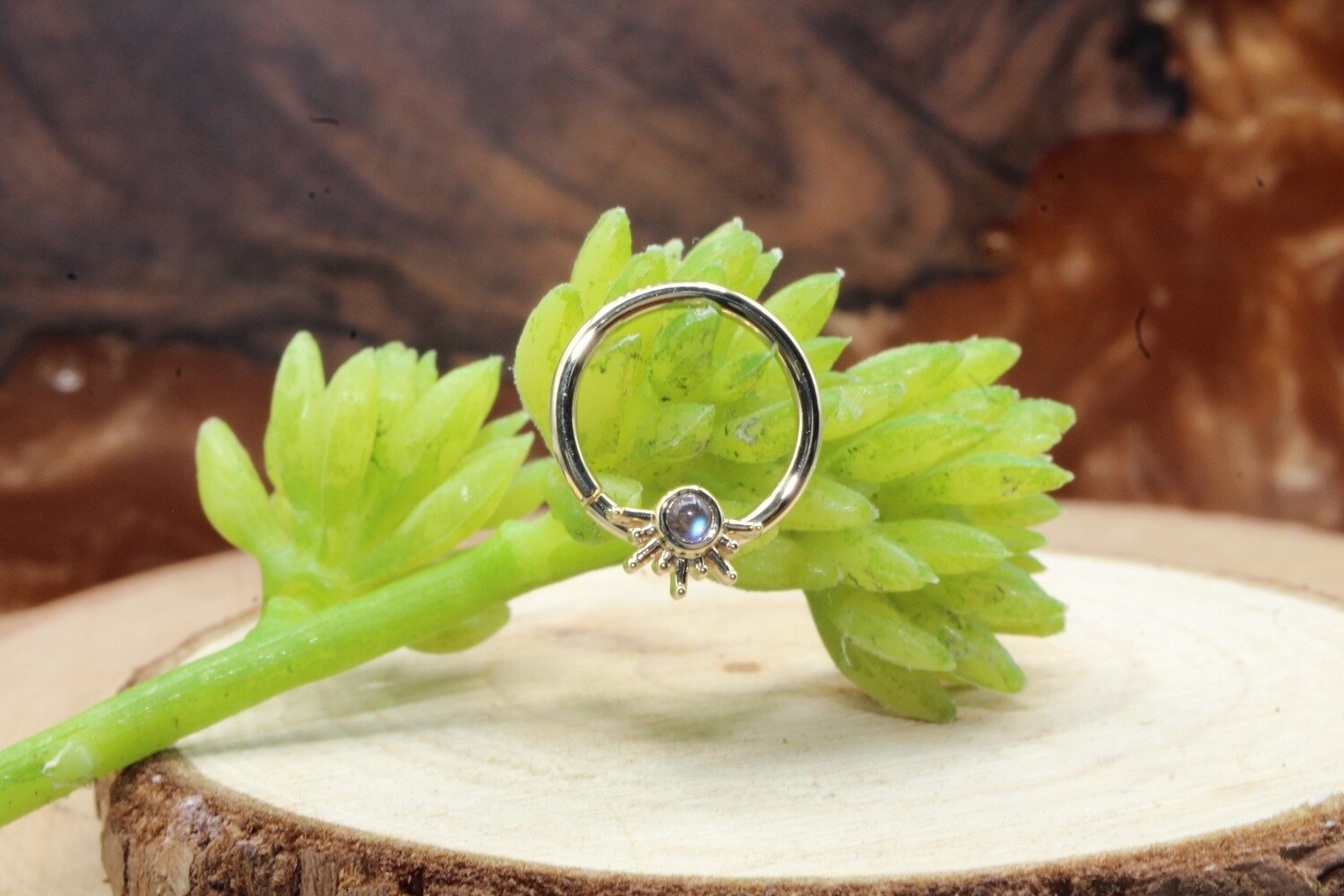 Yellow Gold Live to Tell Seam Ring, Gauge: 16g, Diameter: 3/8&quot;, Stone: Rainbow Moonstone