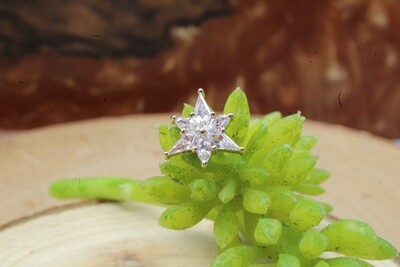 Threaded Rose Gold Stargazer Top