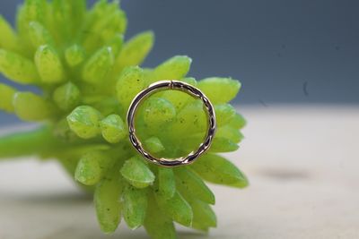 Rose Gold Hammered Seam Ring