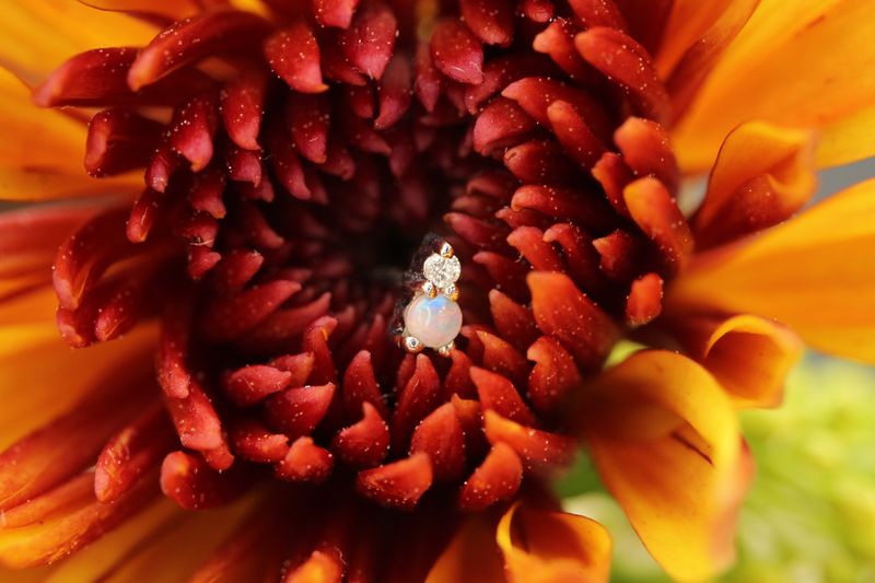 Threadless White Gold Tiny Jeanie 2