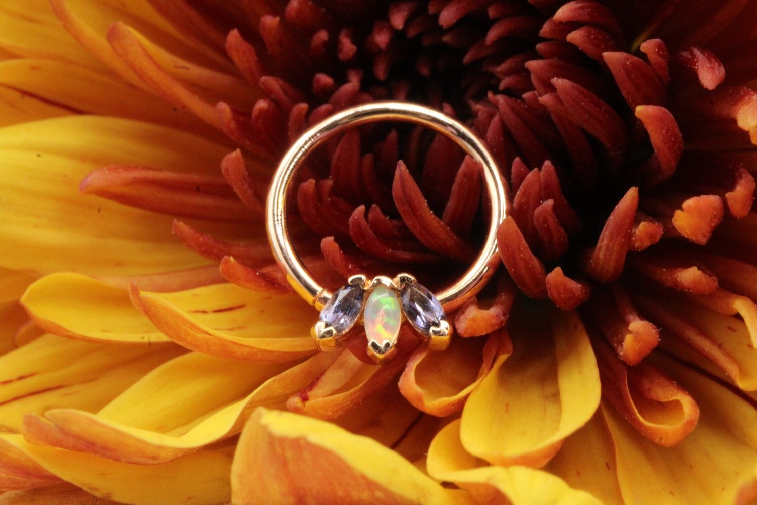 Rose Gold Fixed Marquise Fan Seam, Size: 18ga 11/32&#39;&#39;, Stone: AA Iolite &amp; AAA White Opal