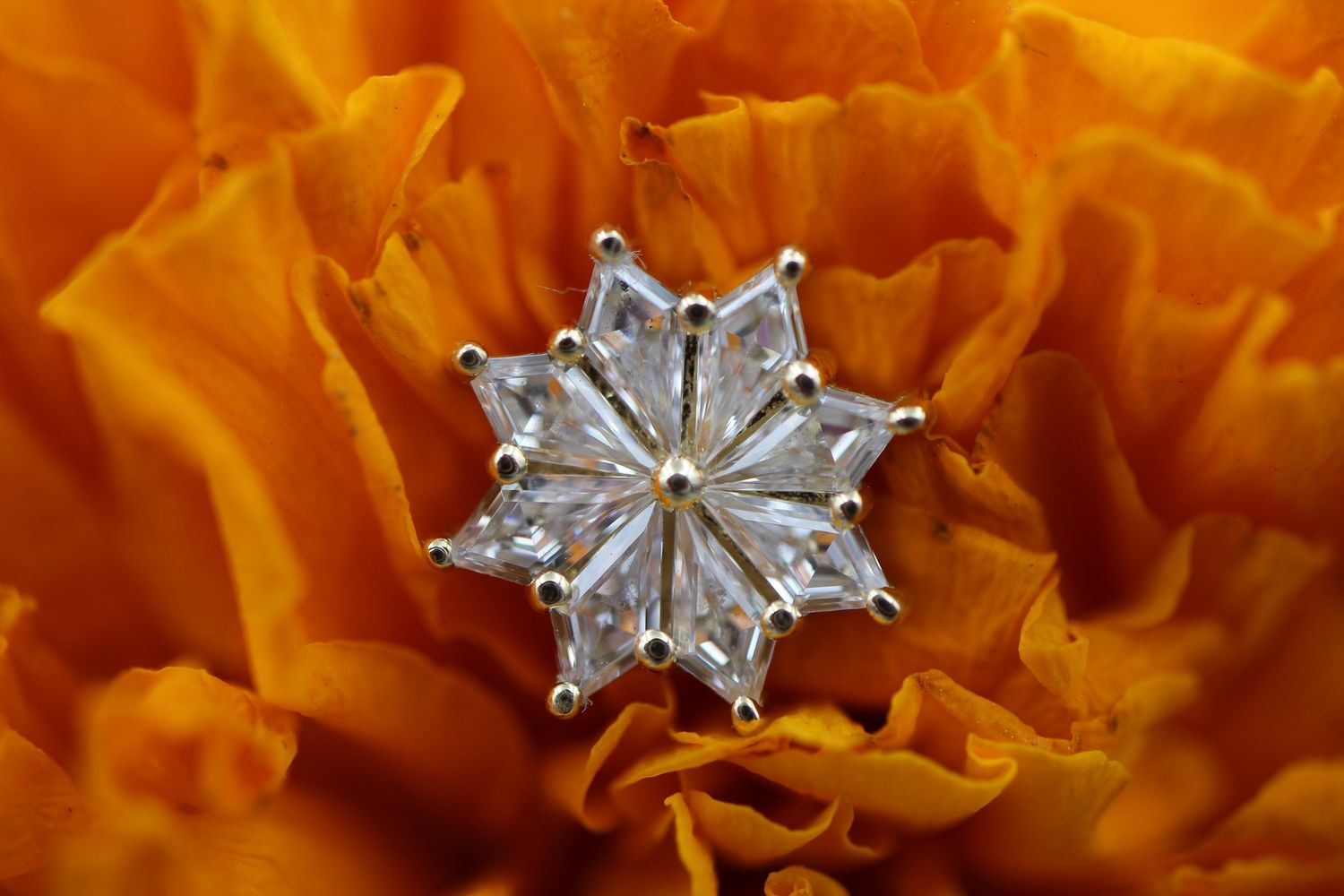 Threaded Yellow Gold Pablo End, Gauge: 14ga/12ga, Stone: White CZ