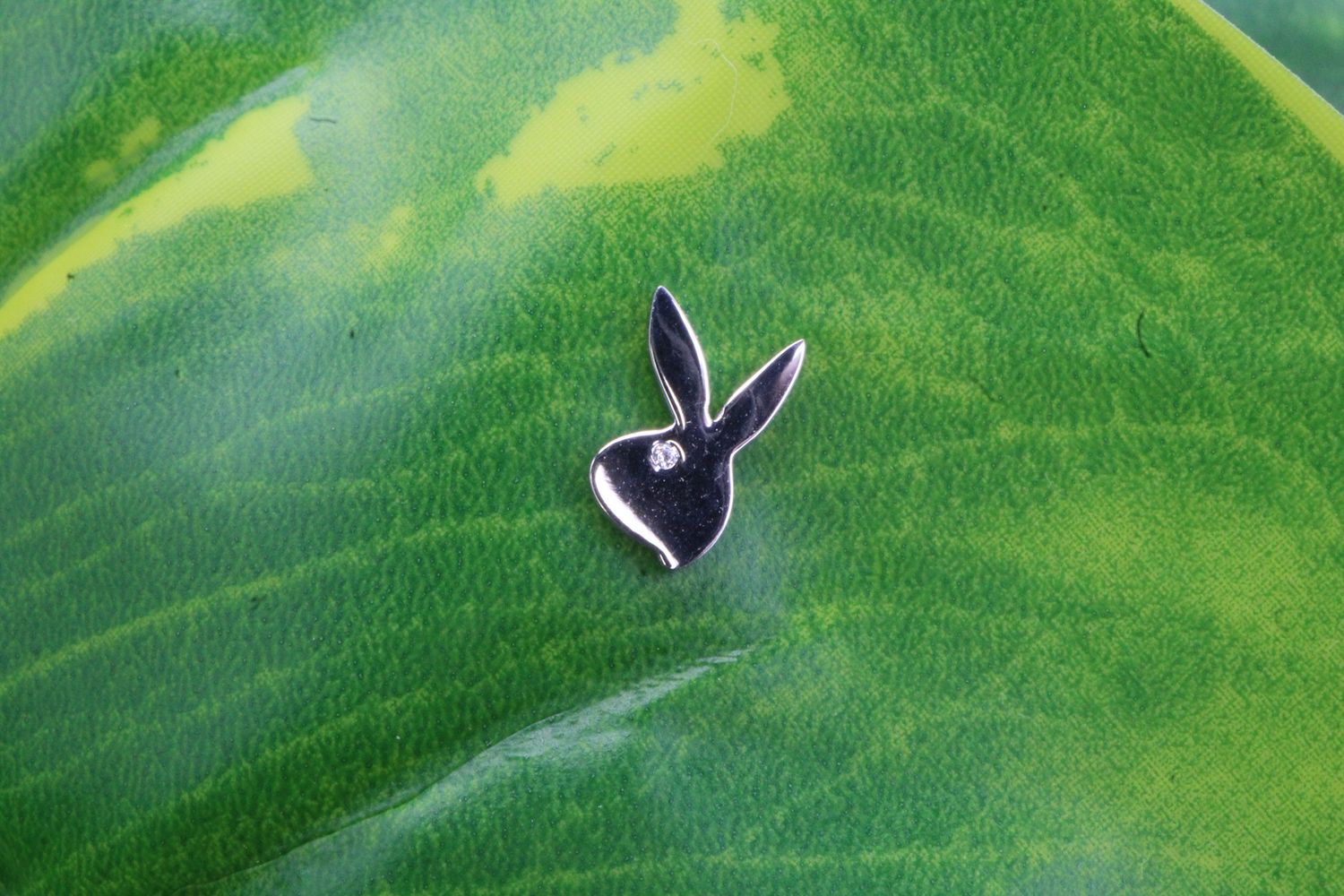 Threadless White Gold Bunny Top, Gems: White CZ