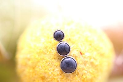 'Threadless Titanium 3 Gem Bezel Cluster Top