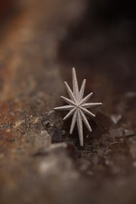 Threaded White Gold North Star Top